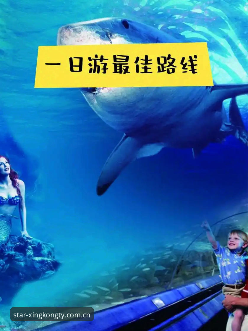 星空体育怎么样推荐 星空体育怎么样推荐:2024年综合体育平台深度解析